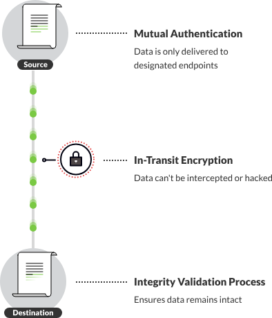 Security diagram including mutual authentication, in-transit encryption, and integrity validation. 
